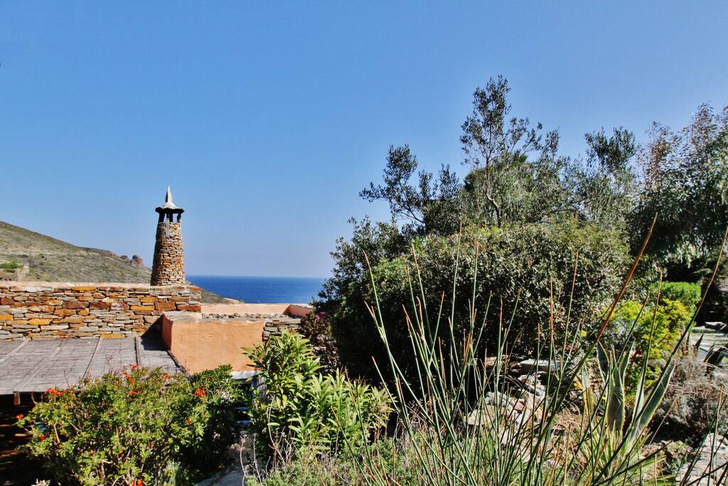 The garden and the view of the house