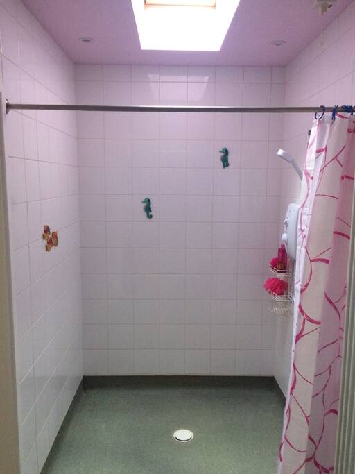 Shower area wet room