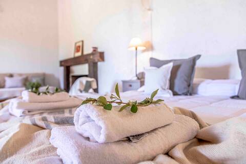 Baquero Loft among vineyards