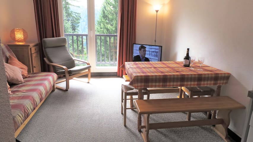 Quiet, Spacious, Well-Equipped Flaine Apartment