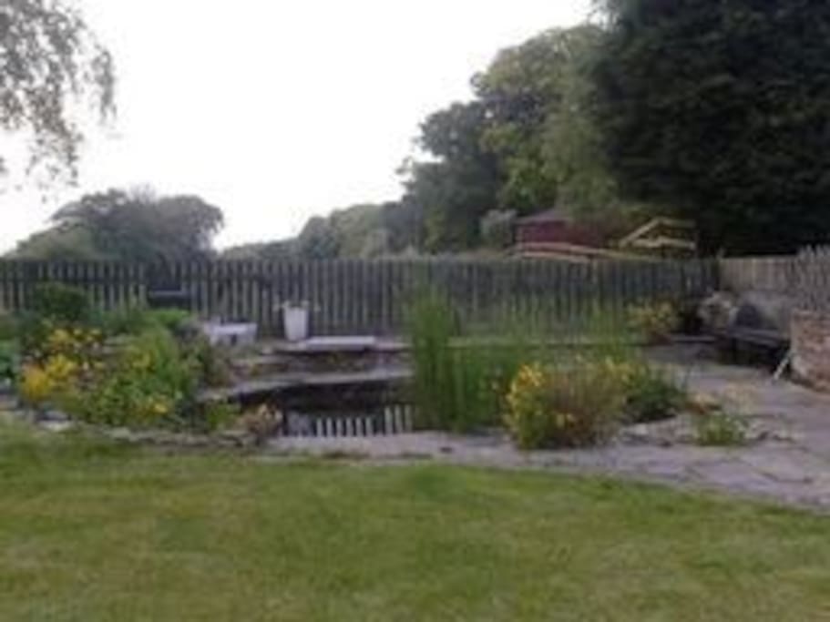 Back garden with ponds