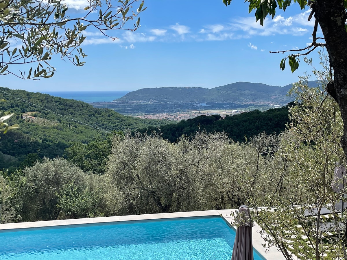 A serene outdoor pool is set against a backdrop of lush olive trees and rolling hills. The tranquil water reflects the sky and sea, while the distant coastline can be seen under a clear blue sky. The landscape offers a peaceful connection to nature.