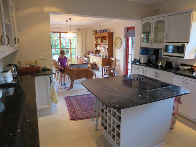 Cape Town family home with lovely garden. gallery image 4