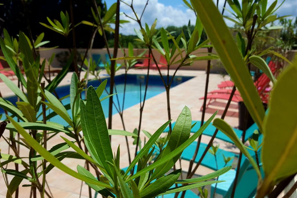 piscine sud