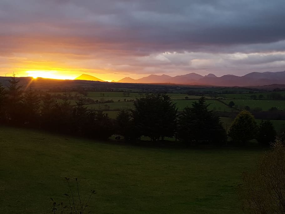 Snowdonia mountain range viewed from the field.