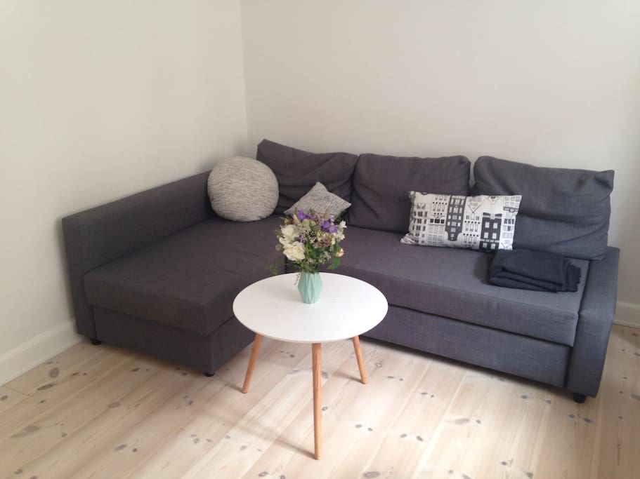 This is the couch which can be made into a good double bed