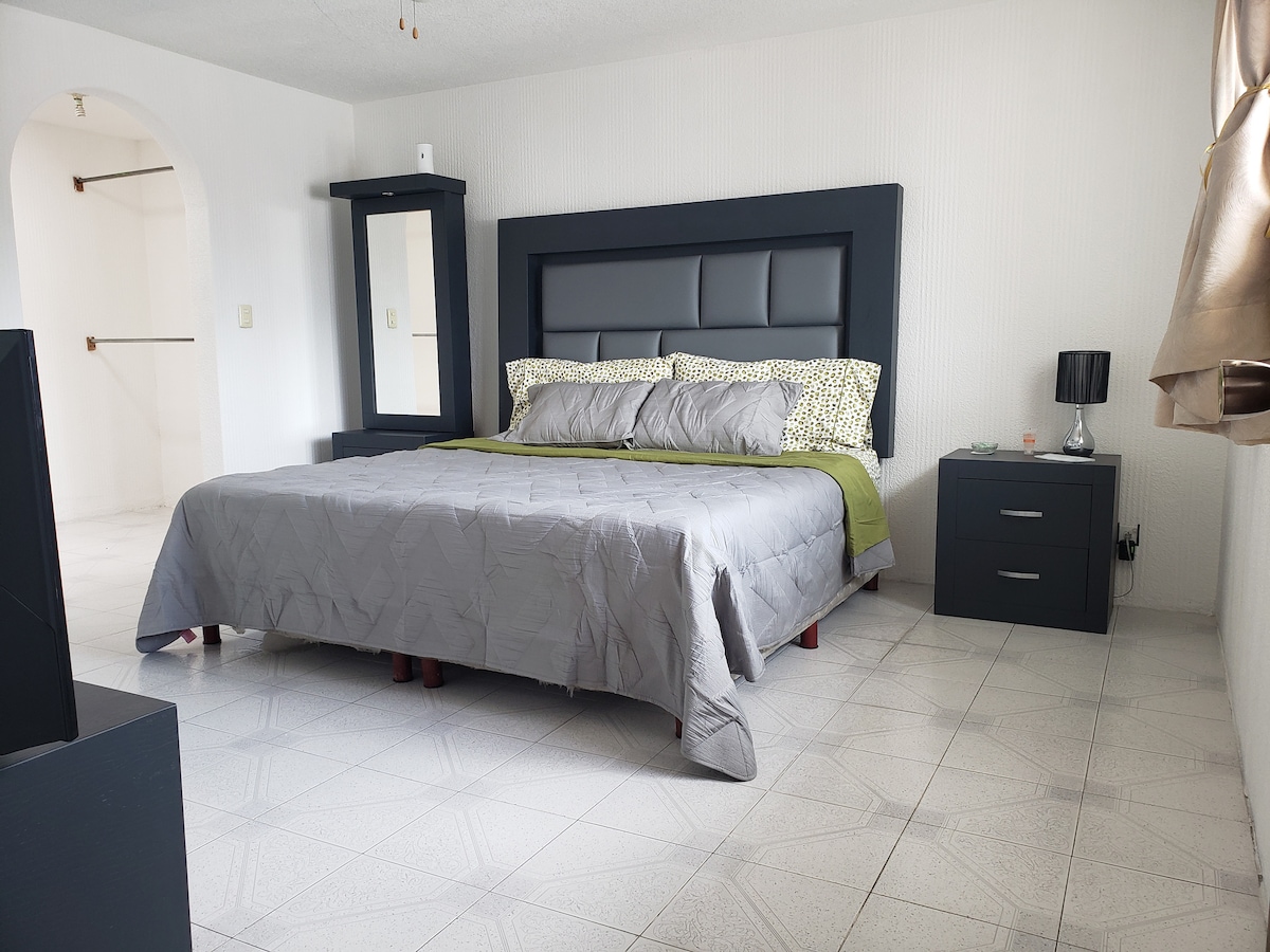 A spacious room features a large dark-colored bed with neutral bedding and two accent pillows. A matching bedside table with a lamp is situated next to the bed. A mirrored wardrobe is visible, along with a soft area rug on the tiled floor.