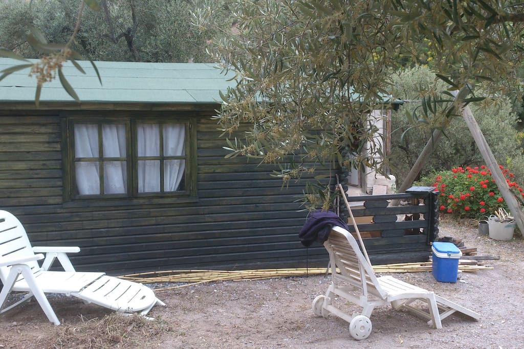 Cabin through the olive trees