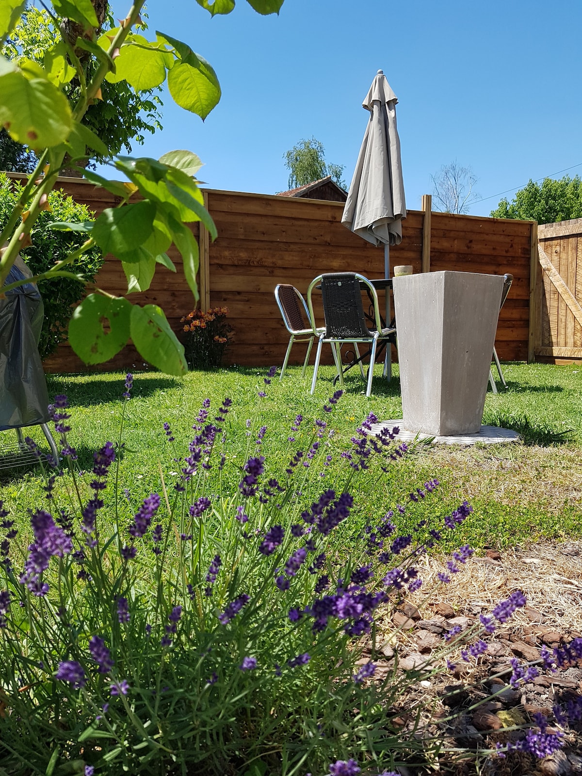 A serene outdoor space featuring a small garden with blooming lavender plants. A gray umbrella shades a dining table and chairs, positioned on lush green grass. A wooden fence provides privacy, and a stone fountain adds a subtle water feature to the atmosphere.