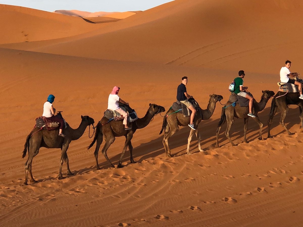 A line of camels walks across golden sand dunes, carrying riders dressed in light, breathable clothing. The tranquil scene captures the essence of desert exploration, with soft curves of the dunes creating a serene backdrop under a clear sky.