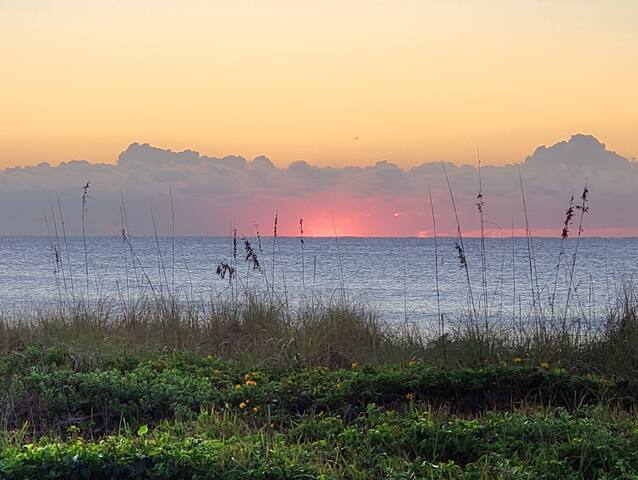 Direct Oceanfront-On the Beach-Pool-Grill-Parking gallery image 5