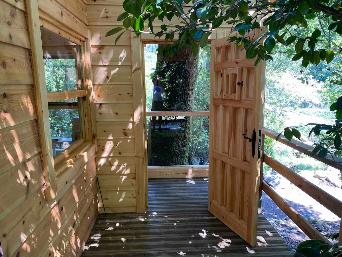 A wooden door stands open, revealing a glimpse into the cabin's interior. The entryway features natural wood paneling and a wooden floor, surrounded by lush greenery. Sunlight filters through the leaves, creating gentle shadows on the floor.