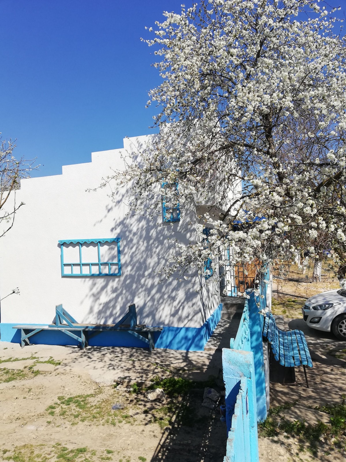 A white building with blue accents is seen under a clear blue sky. Nearby, a blossoming tree adds a burst of white flowers. The garden area features a wooden bench and a pathway leading toward the entrance, suggesting a welcoming atmosphere.