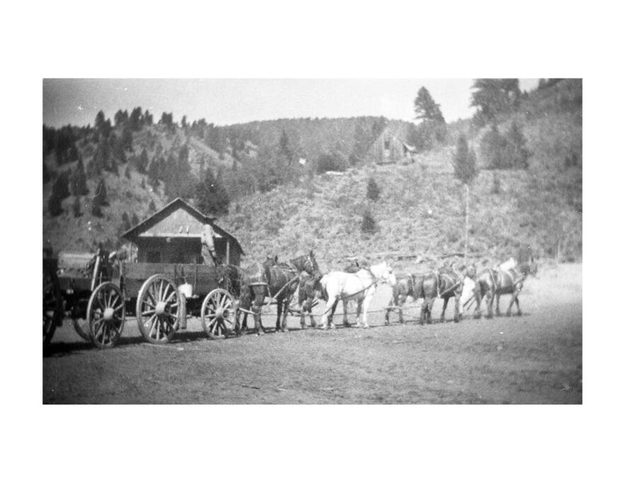 This is the "office" cabin in the 1800's