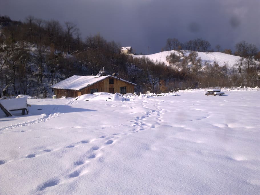 Wintertime