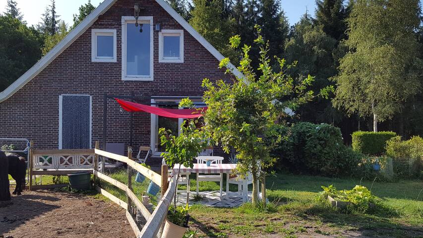 Zimmer in Wiesmoor: Aussicht, Natur und Tiere