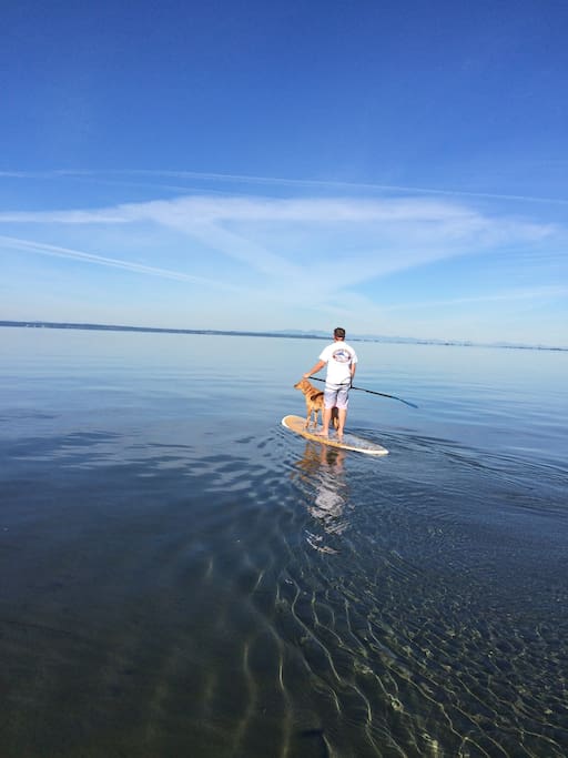 Paddleboarding with my dog
