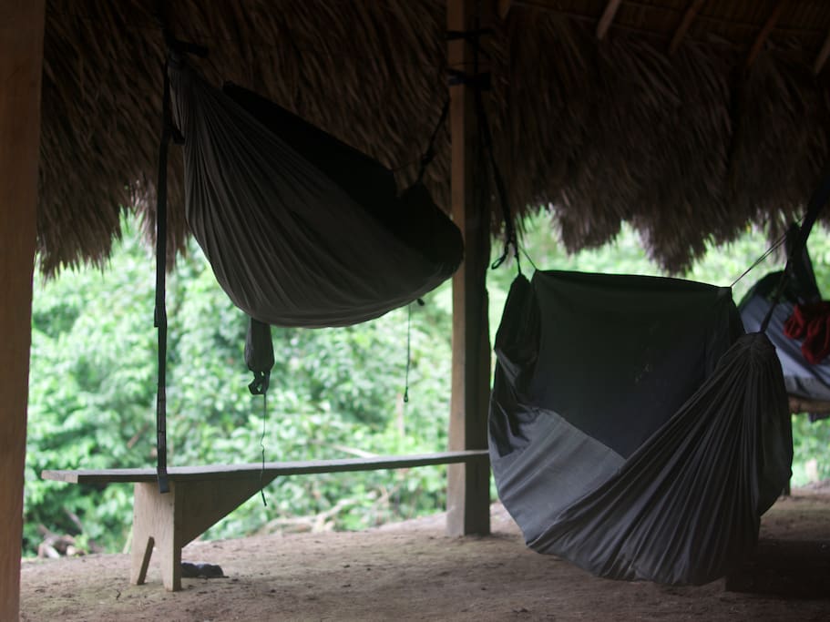 ENO Jungle Nest hammocks with built-in mosquito nets.