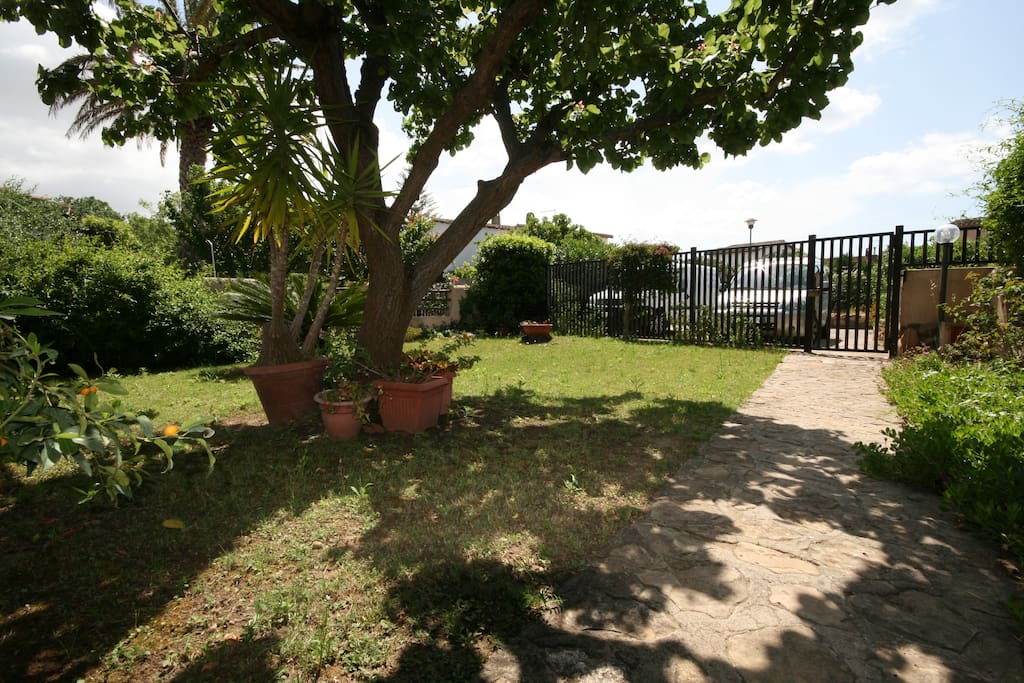 Giardino