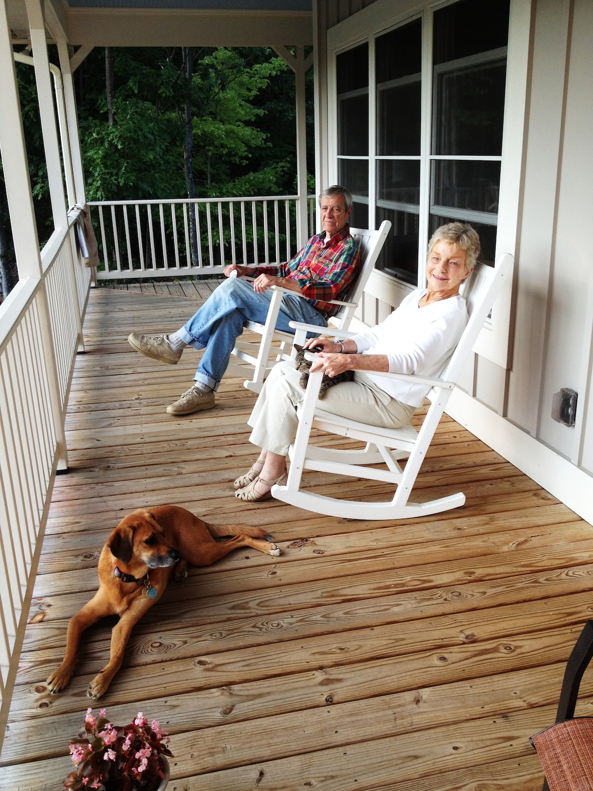 A spacious porch features two rocking chairs positioned for relaxation. A friendly dog rests on the wooden floorboards between them. Light wood accents and potted flowers enhance the inviting outdoor space, while lush greenery is visible in the background.