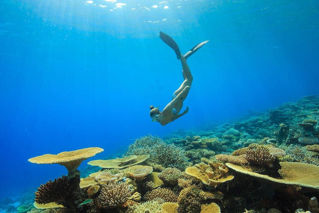 Addu Rock Diving