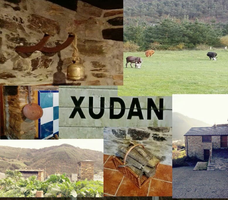 XUDAN.