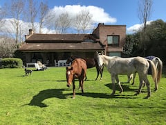 Home+in+polo+stables
