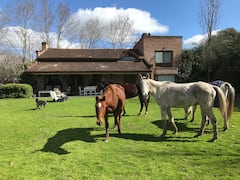 House+in+polo+stables
