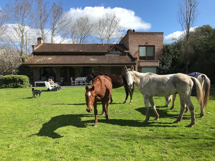 10 Best Ranches To Stay In Argentina Updated 2024 Trip101