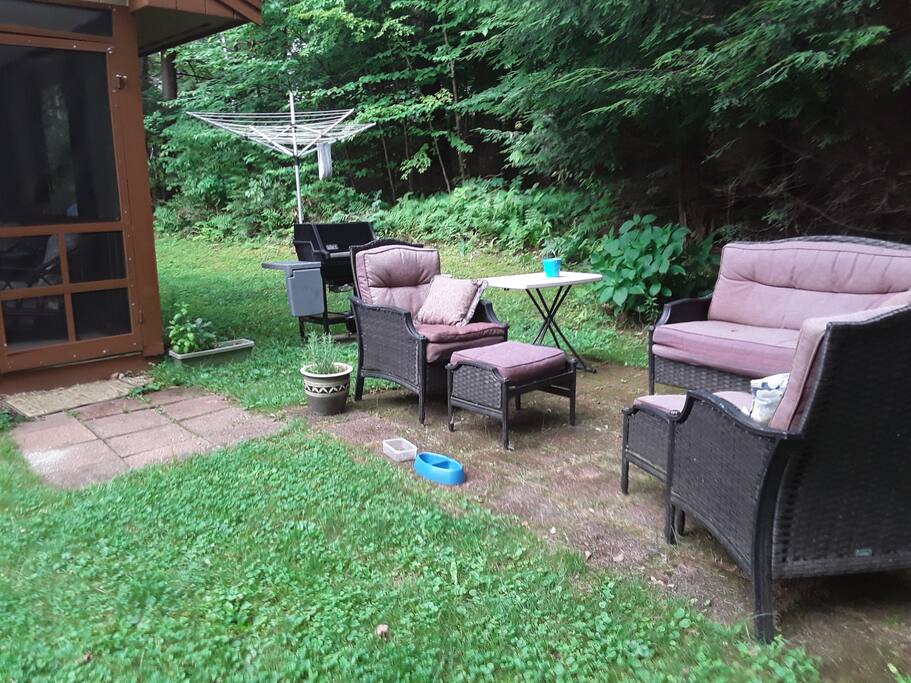 back yard