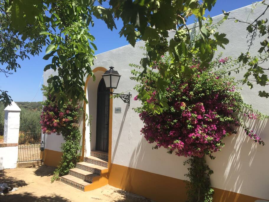 Entrada