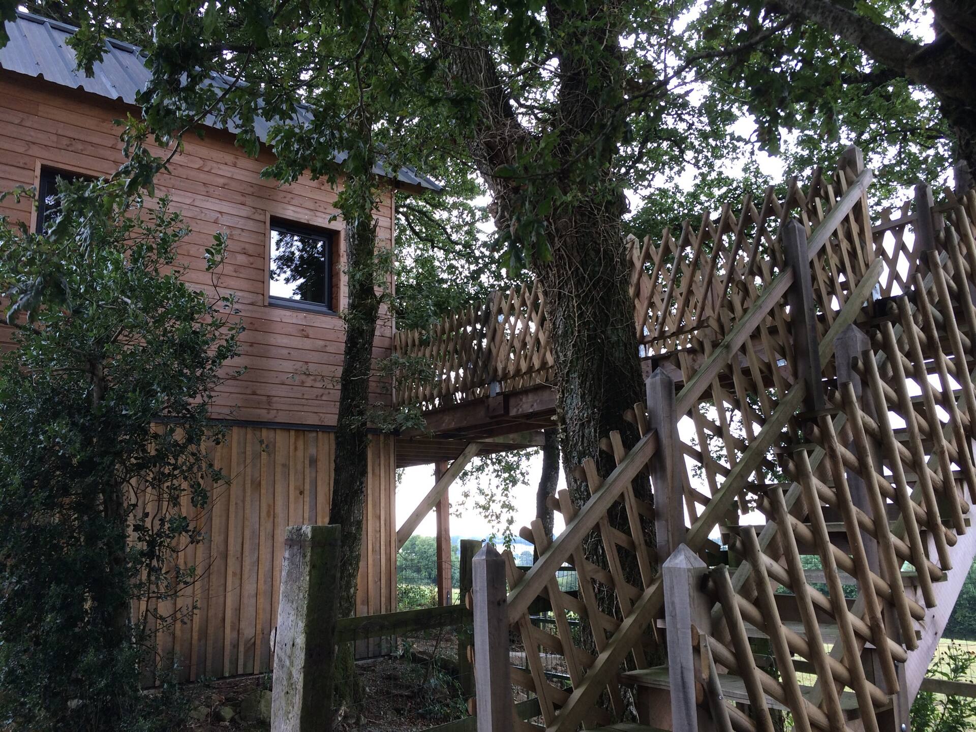 Cabin in the countryside