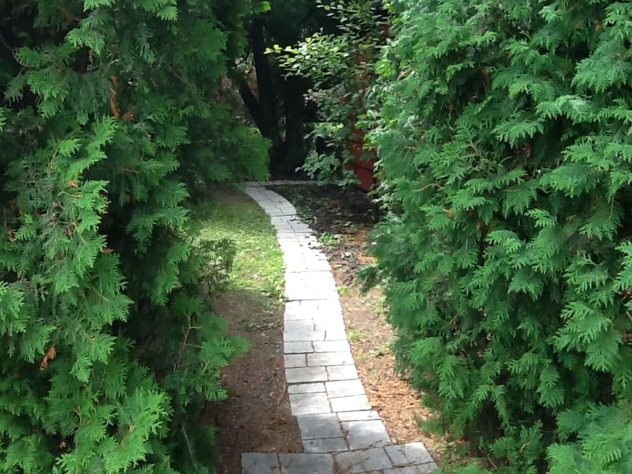 Entrance to Lavida Cottage from north parking area off of Rt.78