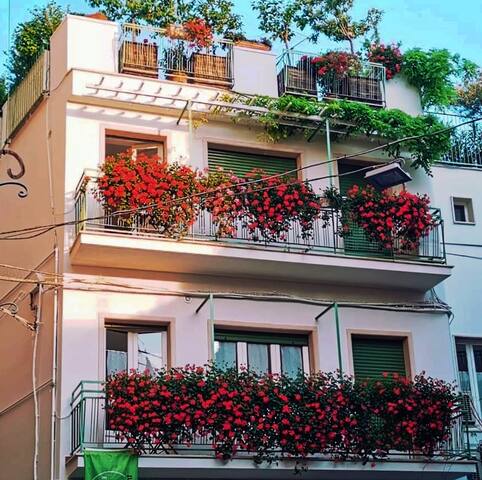 All Palace Suites Apartments Terrace Casa Farella