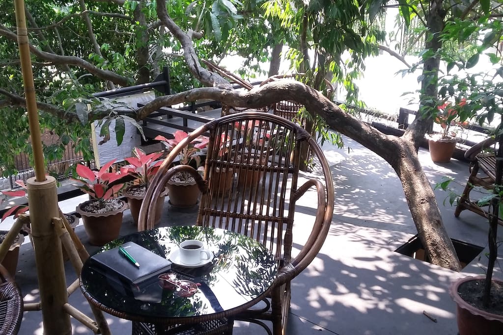 Tree House