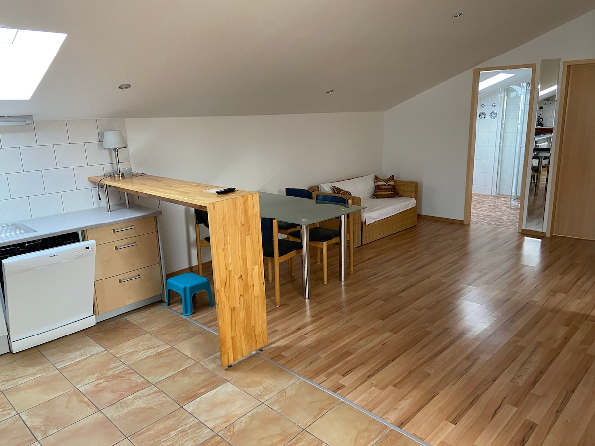 An open living area features a compact kitchen with modern appliances and a dining table surrounded by chairs. A comfortable seating space includes a daybed with decorative pillows. Natural light enters through a skylight, illuminating the warm wooden flooring.