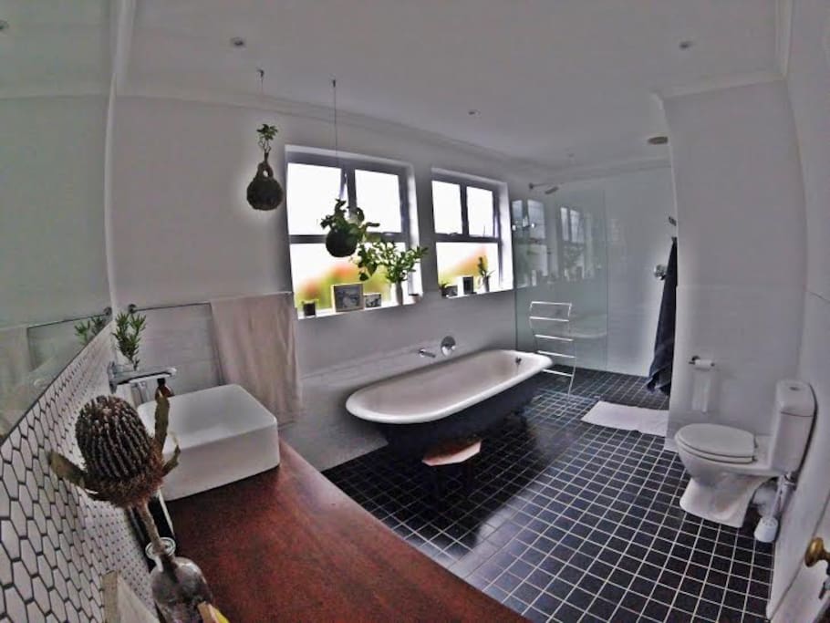 The main bathroom is the highlight of the house