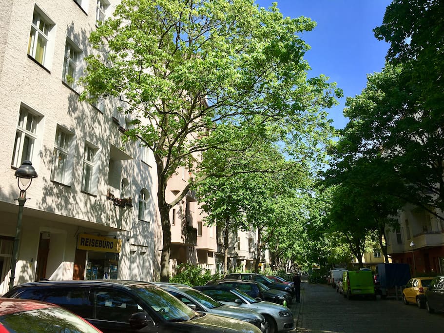 quiet street, a nice neighborhood