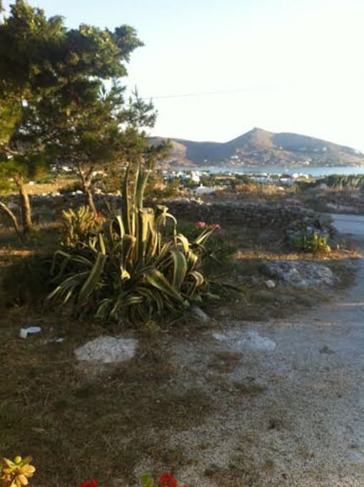 front yard with view of Naousa Bay