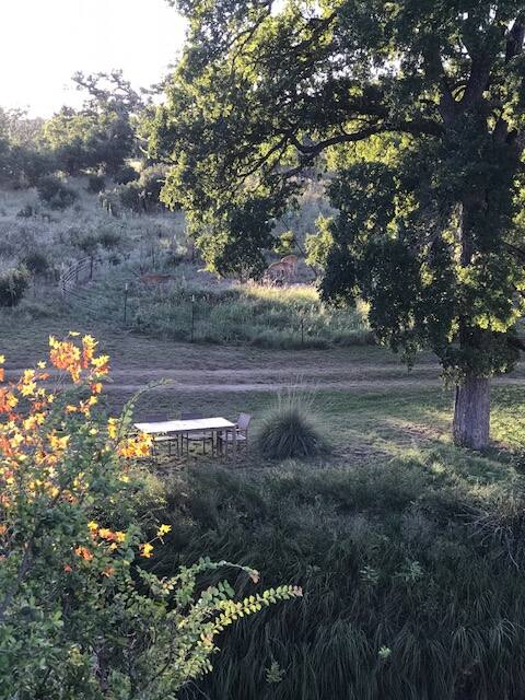 Vineyard-City on a Hill at Spring Creek