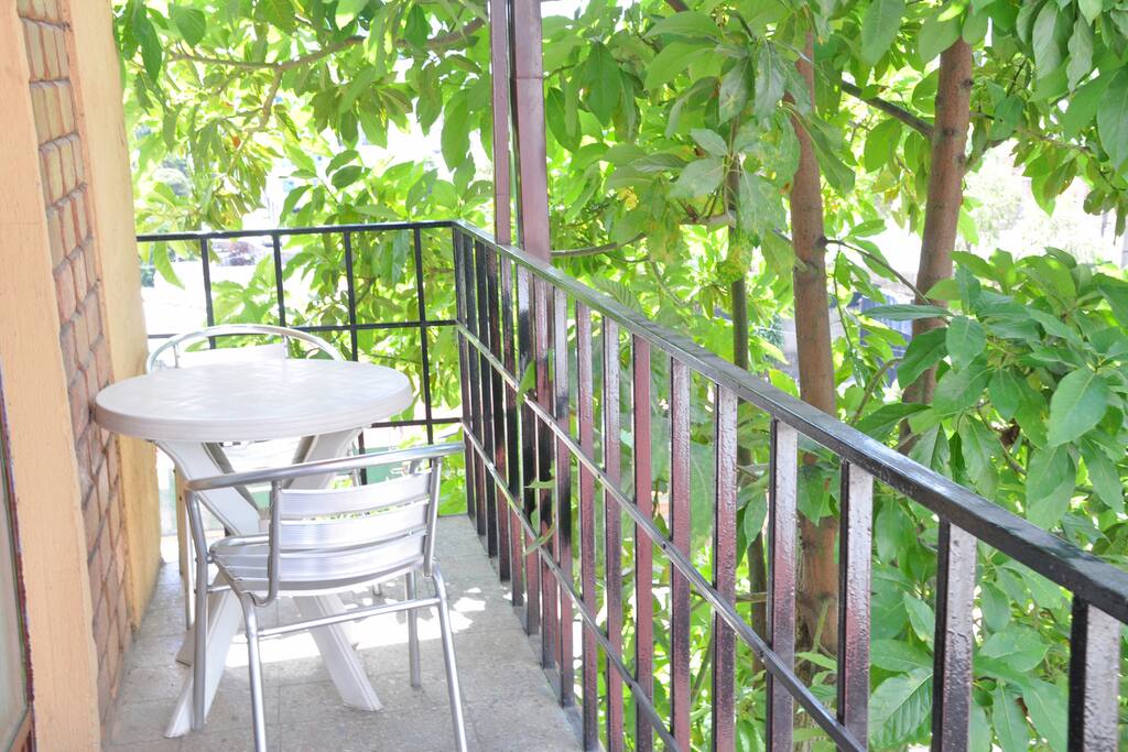 A beautiful Greenery Terrace