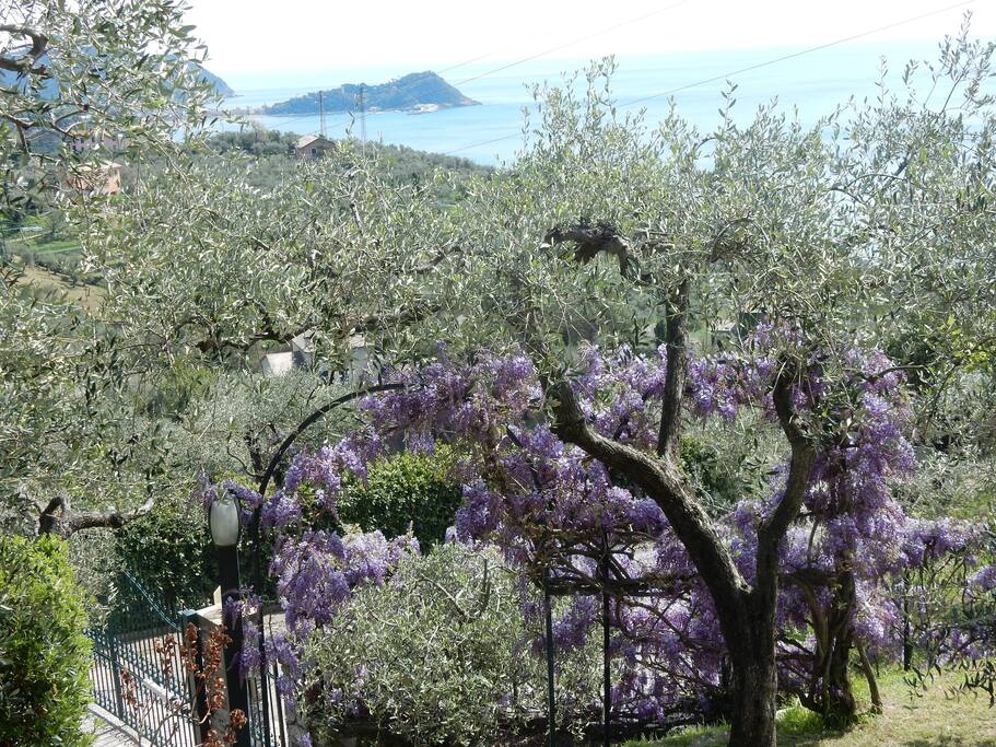 vista terrazza