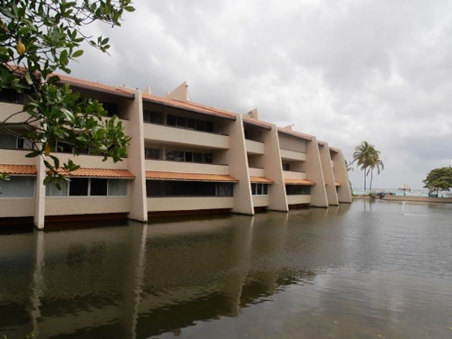 Condos From The Lagoon Side