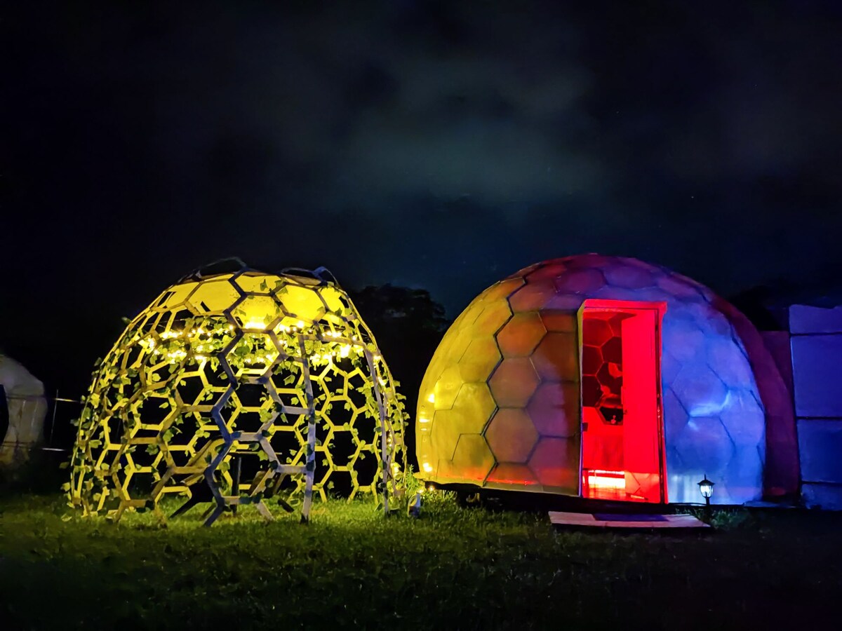 Two unique glamping domes are illuminated at night, showcasing distinct colors. One dome glows yellow with a honeycomb structure, while the other features a warm red entryway. Lush greenery surrounds the domes, enhancing the serene outdoor environment.