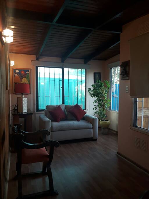 zona de confort del living.