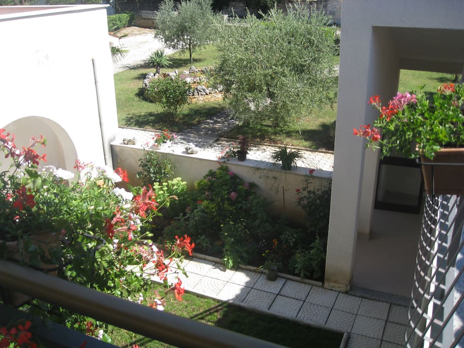 Interior courtyard