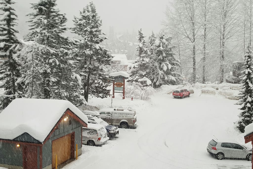 A snowy day, taken from our third floor window.