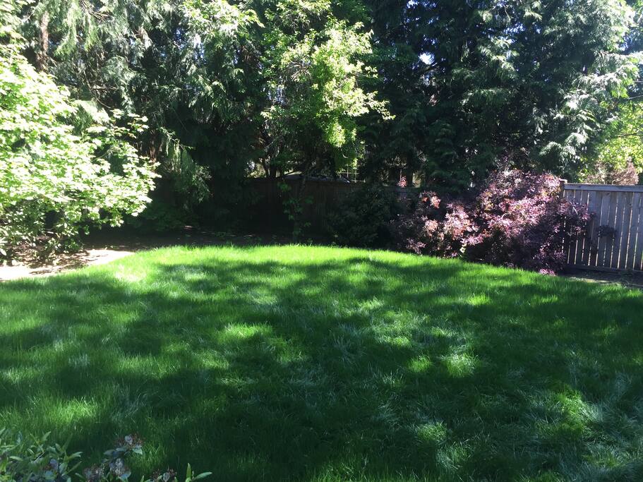 Large Backyard with Zipline, grill, swing and trampoline.