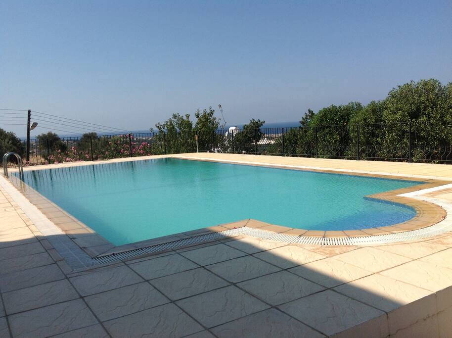 Private 10x5m pool