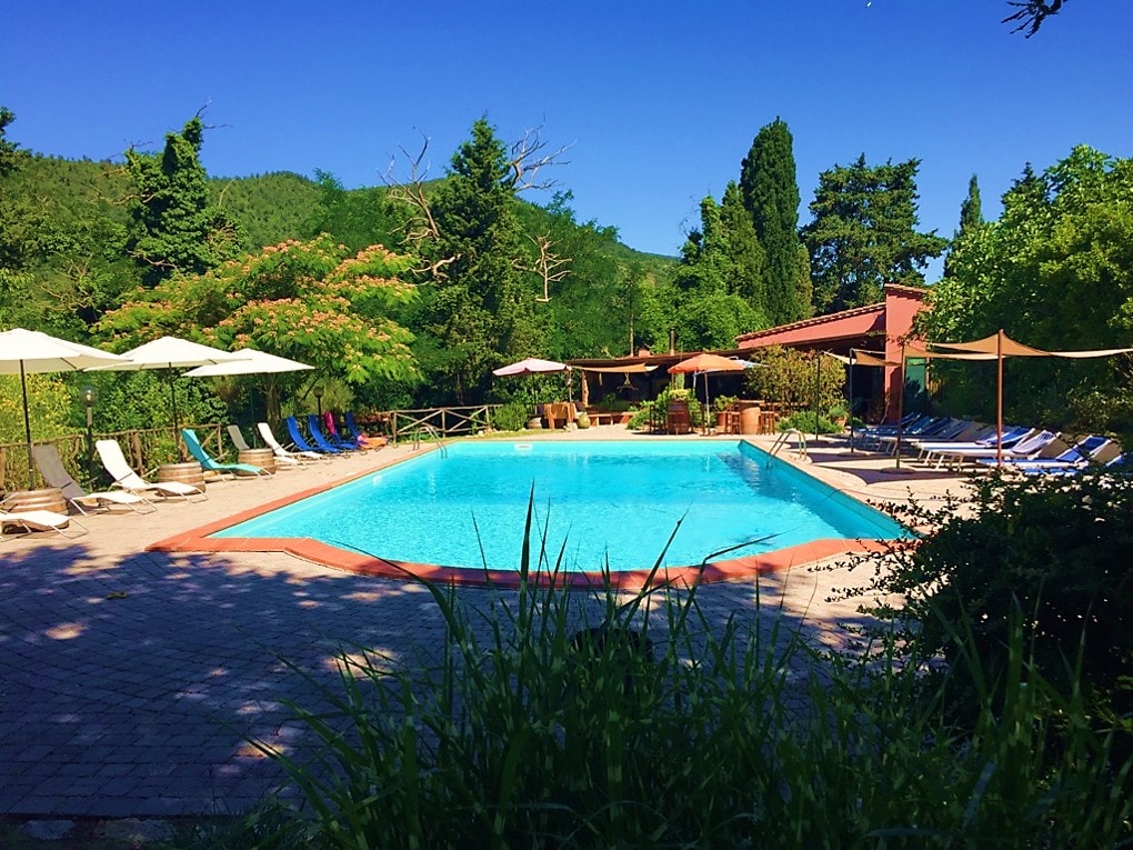 A serene swimming pool is surrounded by lush greenery, with various sun loungers positioned around the edge. Umbrellas provide shaded areas, and a rustic building with seating is visible, blending with the wooded backdrop of trees and hills.